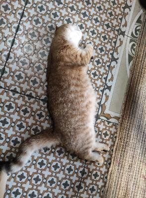 Прикрепленное изображение: IMG_20210306_134520.jpg